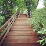 Beach stairs