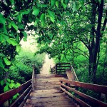 Beach stairs